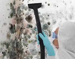 Best Air Quality Testing for Mold Spores  in New Albany, OH